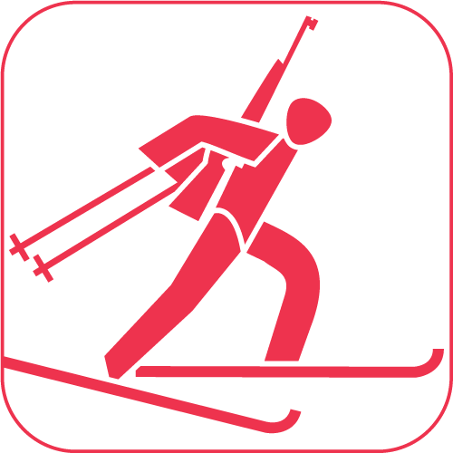 Picktogramm Biathlon
